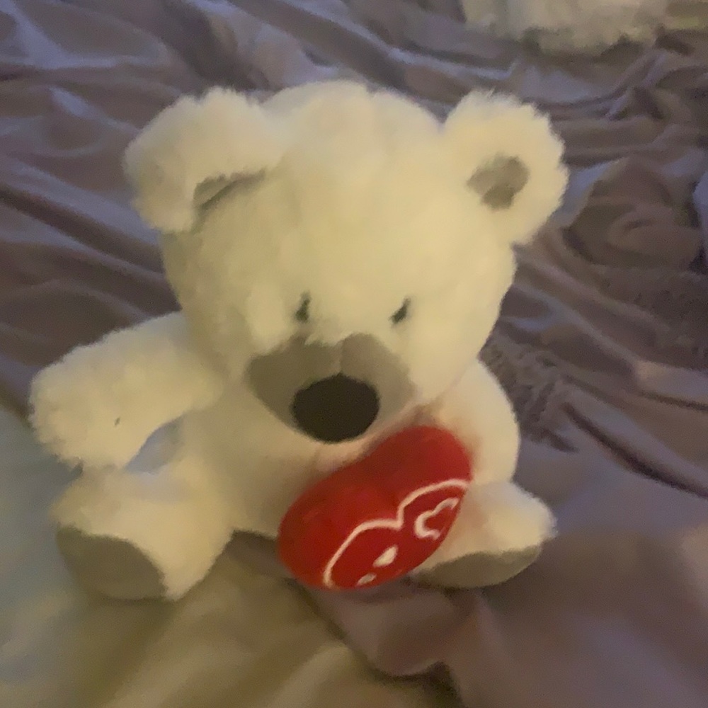 Cute stuffed animal bear